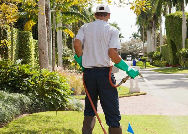 About Marilla NY Pest Control Pros